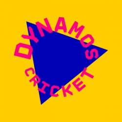 Dynamos Cricket